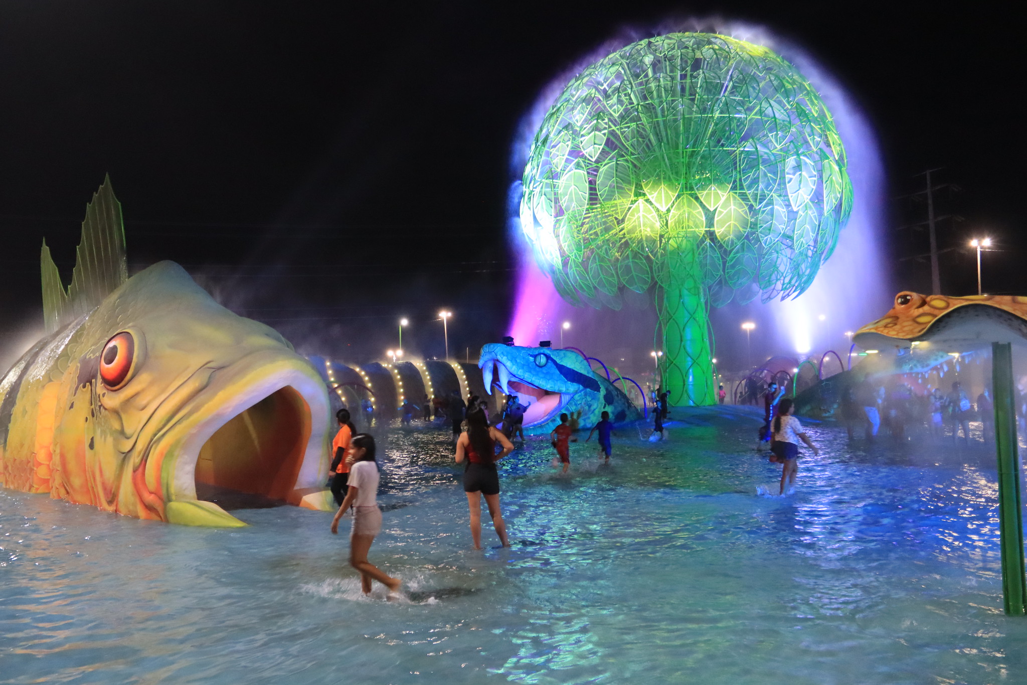 Praça Molhada do Parque Gigantes da Floresta totalmente iluminada